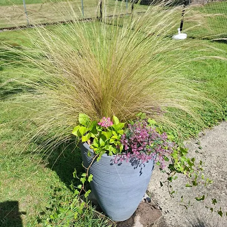 La Folle Parenthese 度假居 *