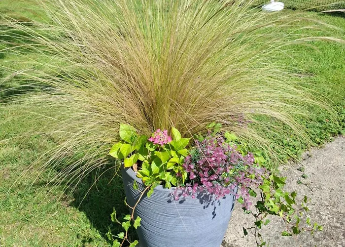 La Folle Parenthese Feriehus *